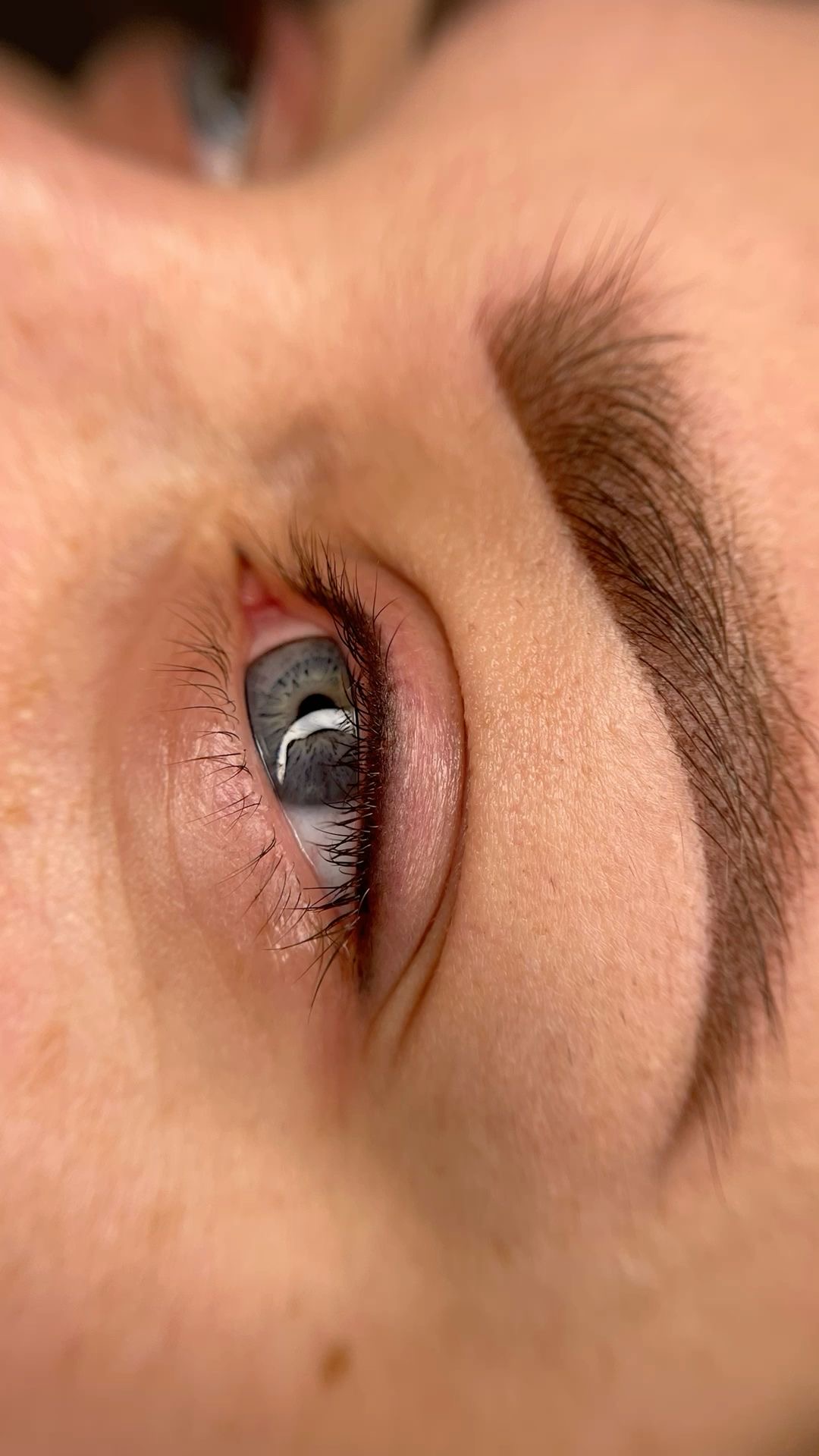 Lash line detail