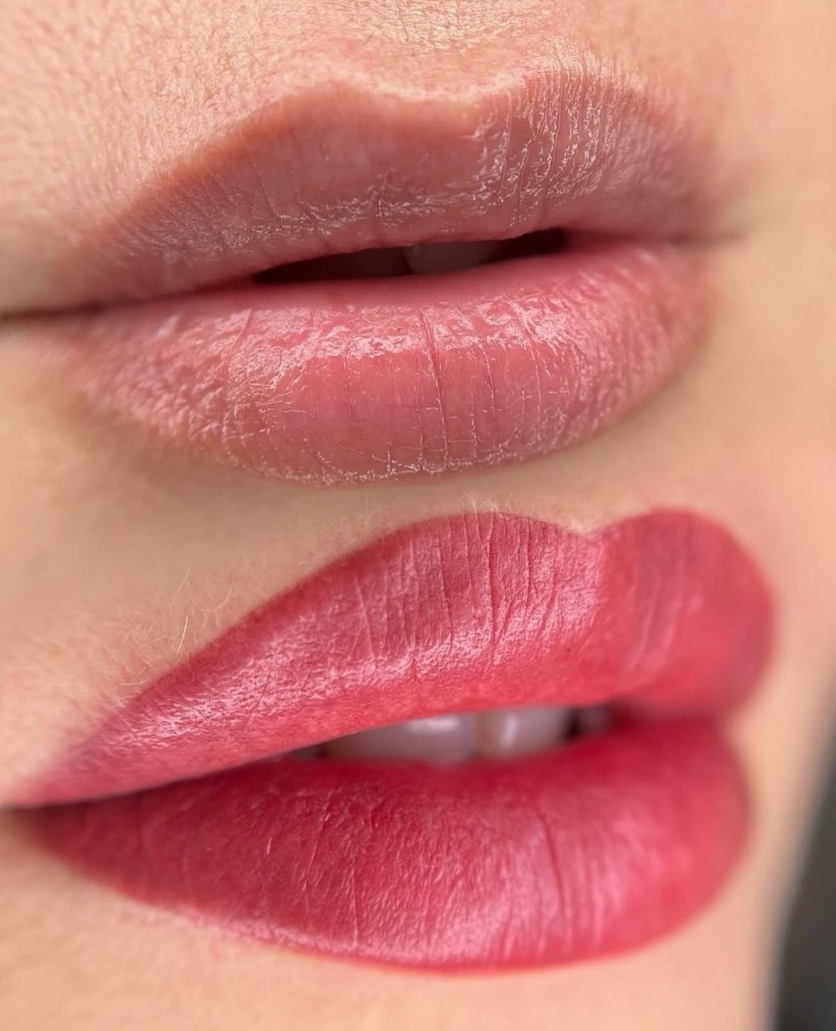 Lip Blush Portfolio client result 6